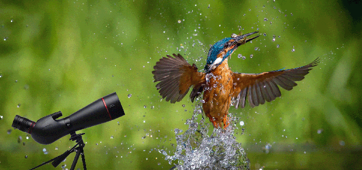 Professional Spotting Scopes Hemu Sun - Precision Outdoor Observation Tools